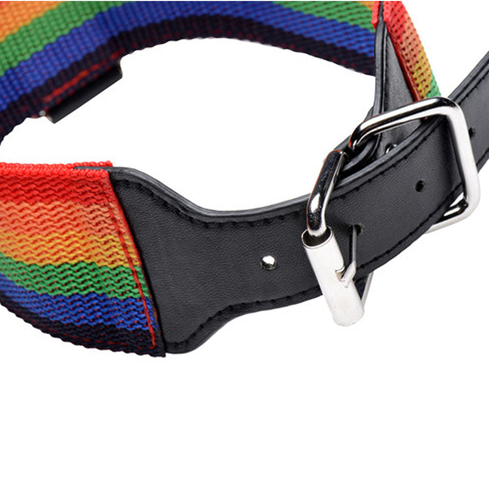 Master Series Kinky Pride Rainbow Bondage Set - Wrist & Ankle Cuffs & Collar w/Leash