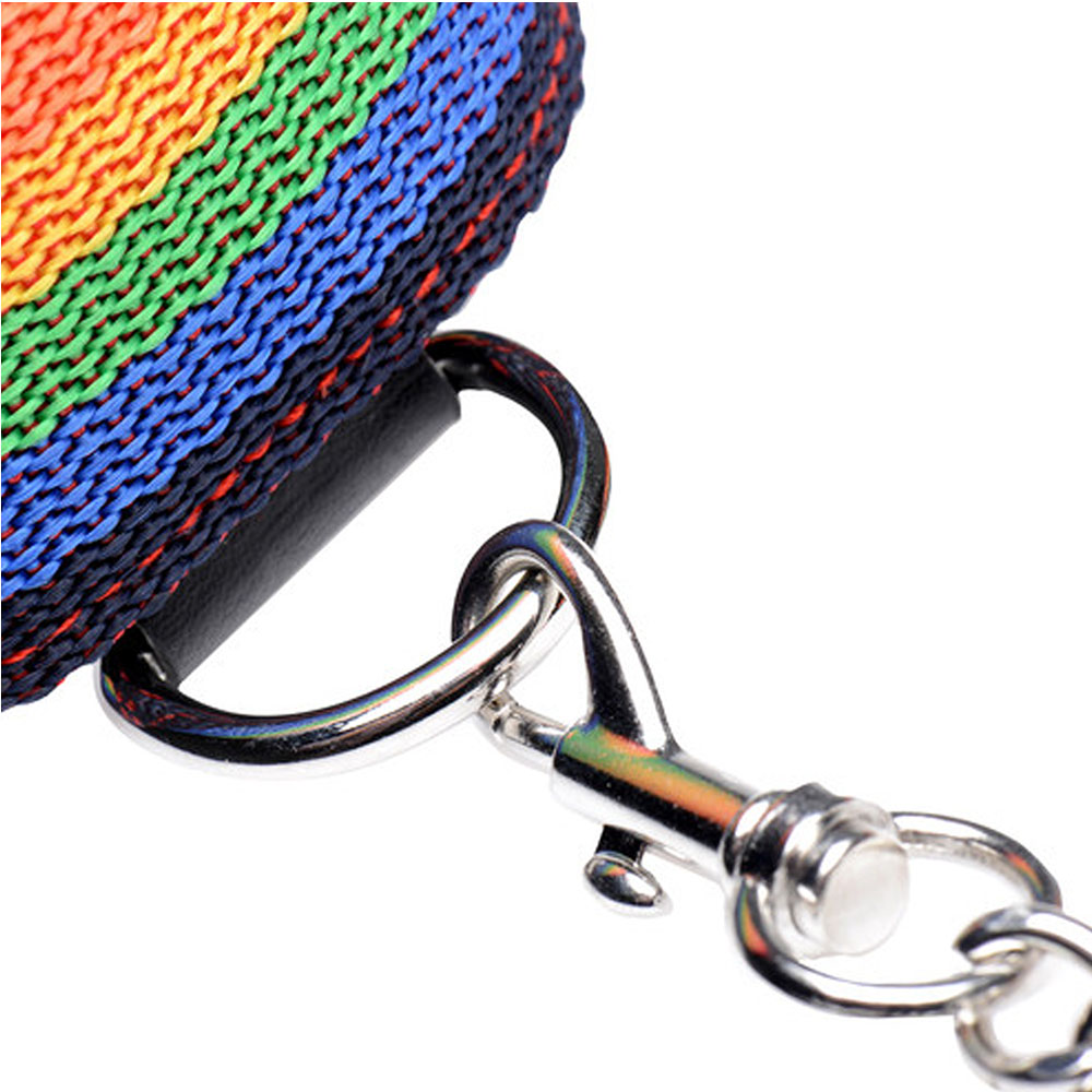 Master Series Kinky Pride Rainbow Bondage Set - Wrist & Ankle Cuffs & Collar w/Leash