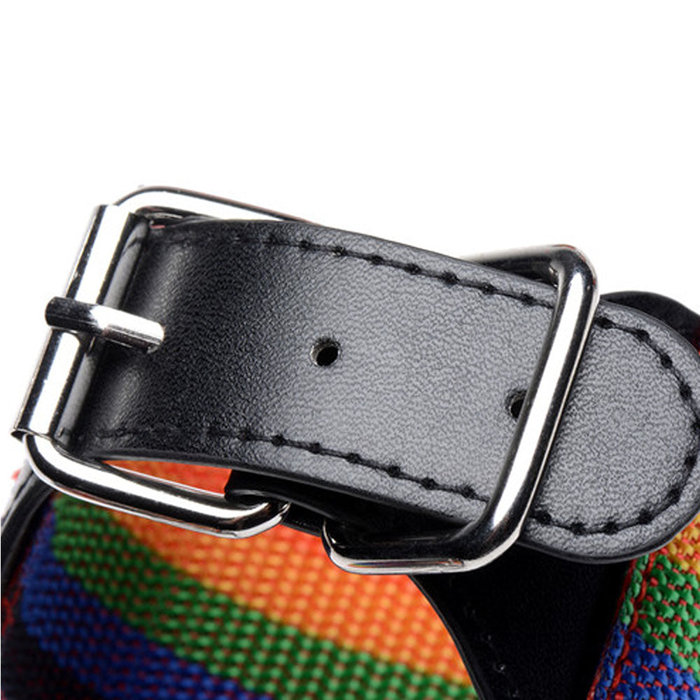 Master Series Kinky Pride Rainbow Bondage Set - Wrist & Ankle Cuffs & Collar w/Leash